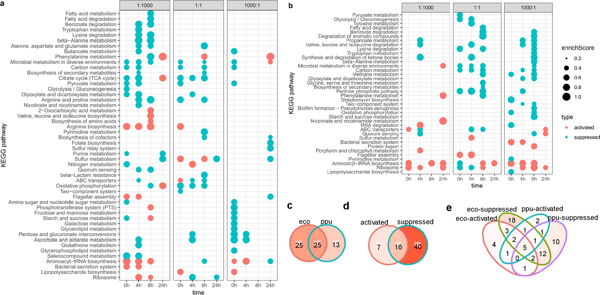 渠晨晨博士在Journal of Hazardous Materials发表论文